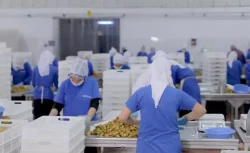 Bir çok ülkeye ihracat yapan Türk gıda devi iflas ediyor