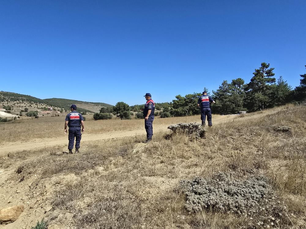 İzinsiz koparana 557 bin TL ceza