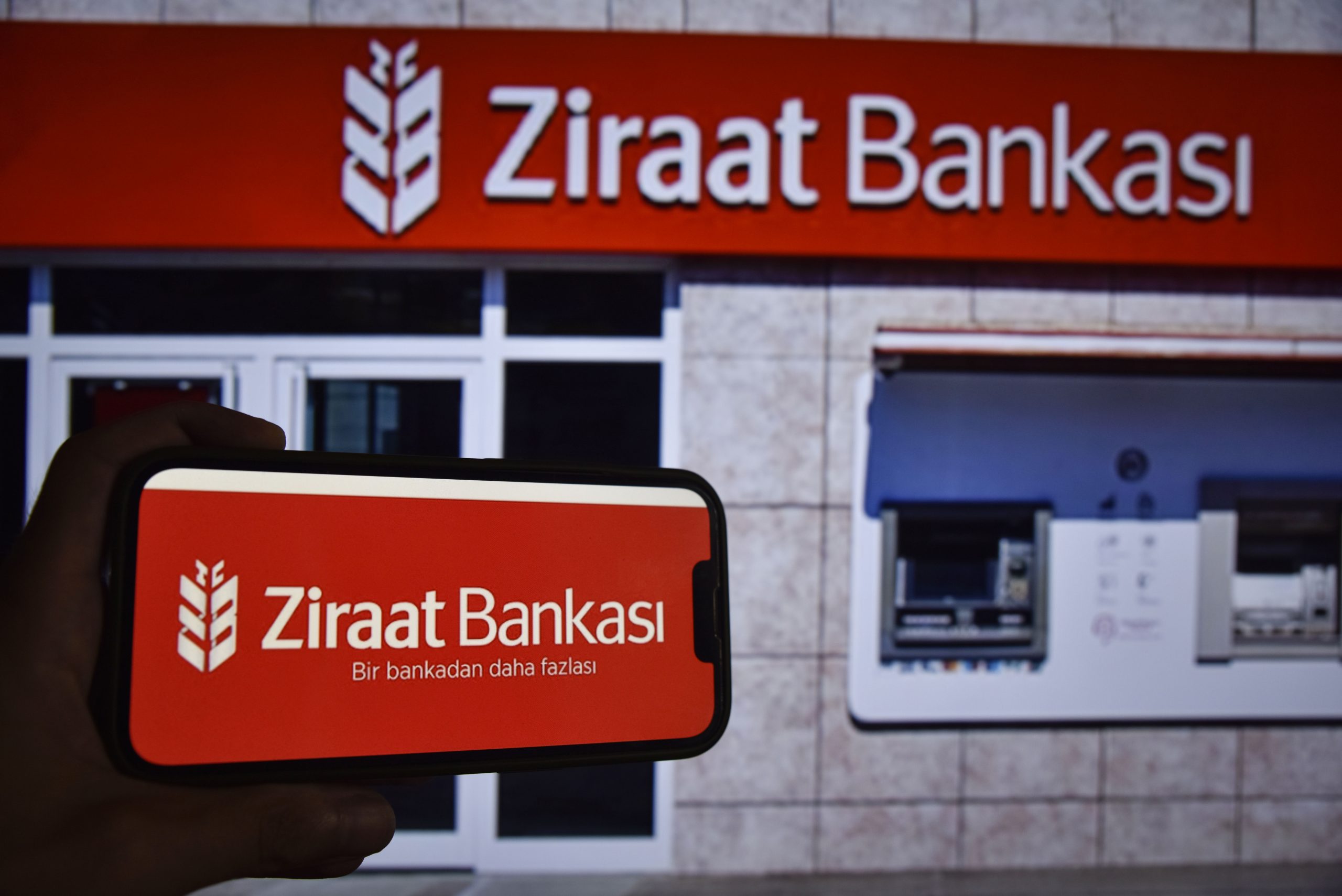 Hayvancılığa başlayacaklara Ziraat  Bankası desteği: İşte damızlık düve kredisi şartları